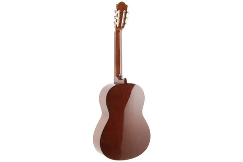 گیتار کلاسیک C40